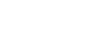 Logo bot light