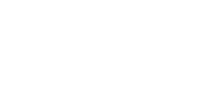 B.O.T Việt Nam sparkopera